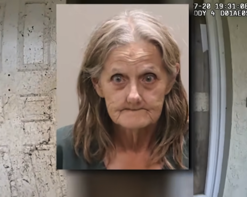 Gail Giustino mugshot